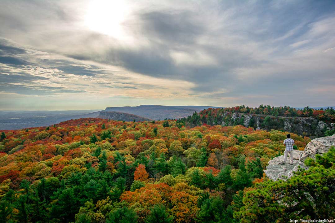 mohonk lemon squeeze